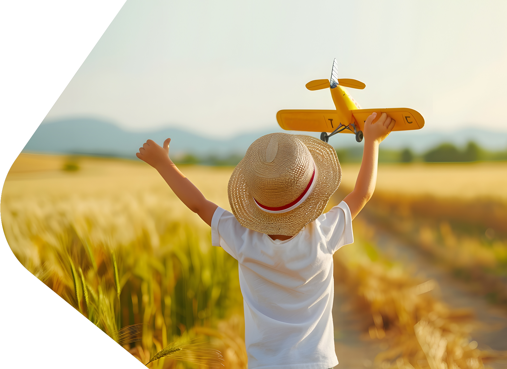 Small child playing with toy plane, running through corn field